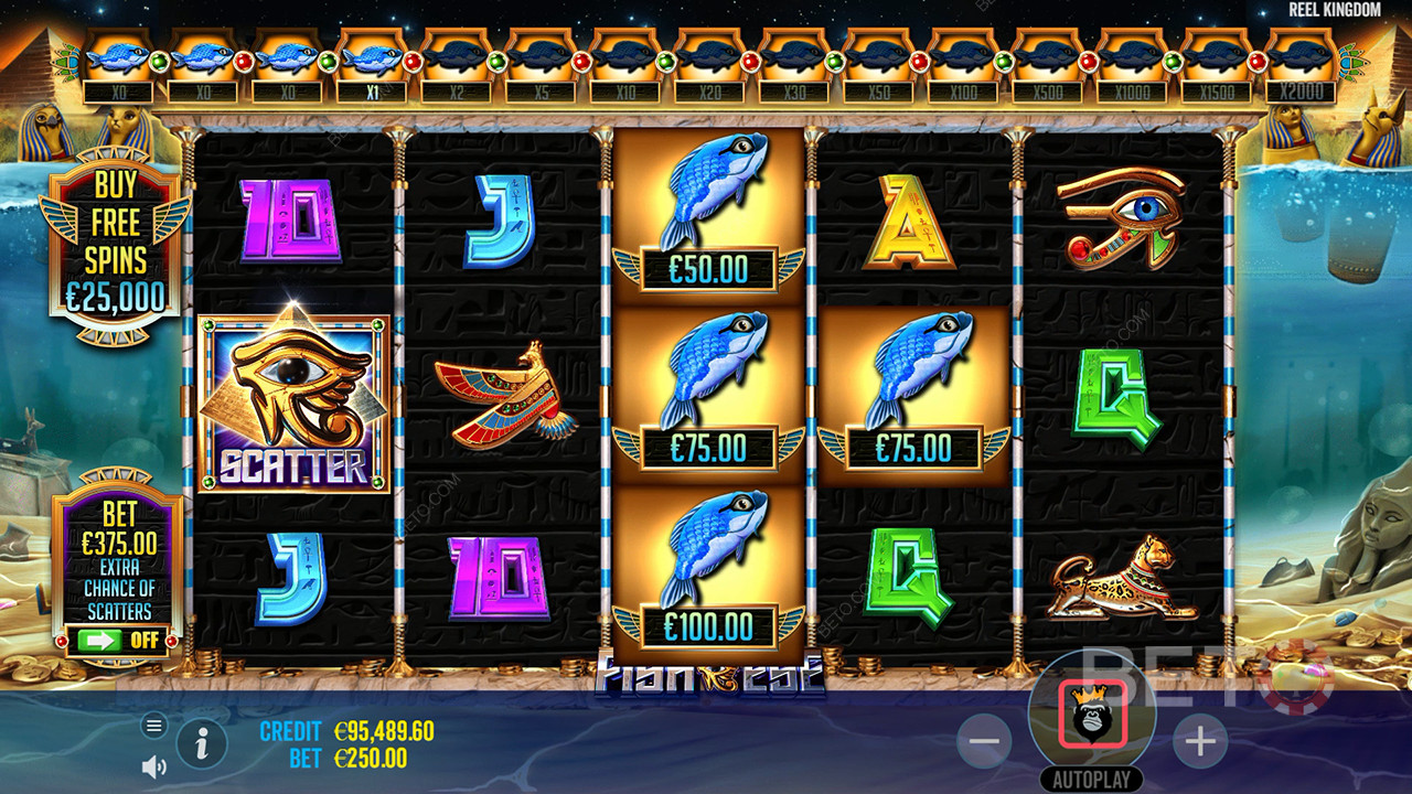 Bonusfuncties uitgelegd in Fish Eye door Reel Kingdom