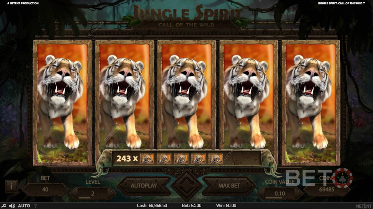 Top Winst Tijdens Gratis Spins in Jungle Spirit: Roep van het Wild