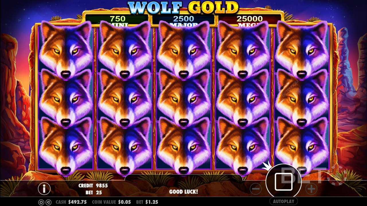 Wolf Gold Scatter symbool activeert de Gratis Spins ronde