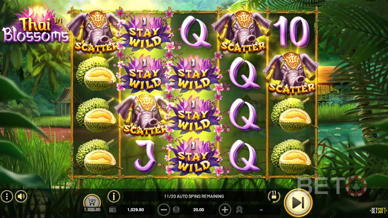 Thai Blossoms Review door BETO Slots