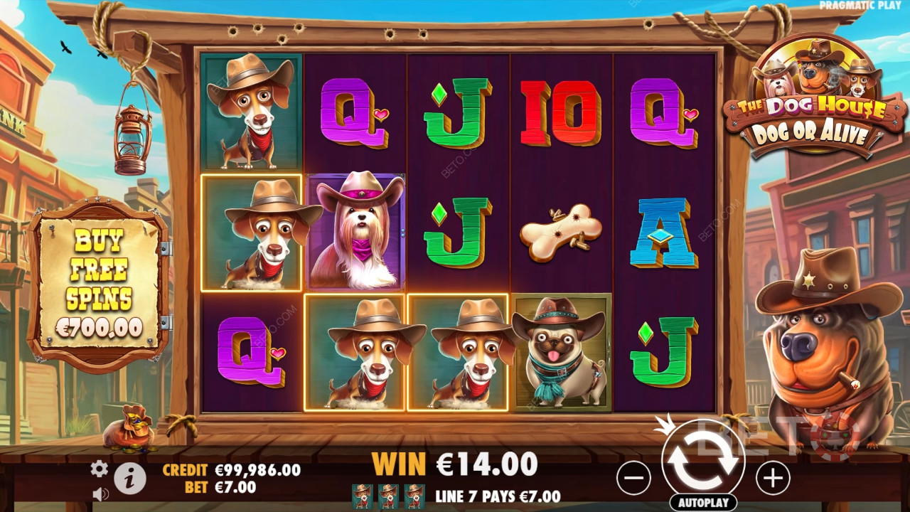 Thema & Ontwerp: Wilde Westen Honden