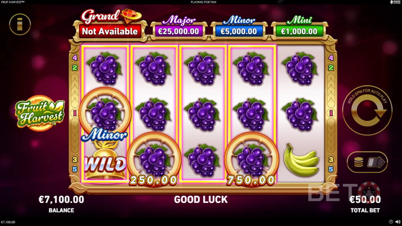 Bonusfuncties uitgelegd in Fruit Harvest door Rarestone Gaming