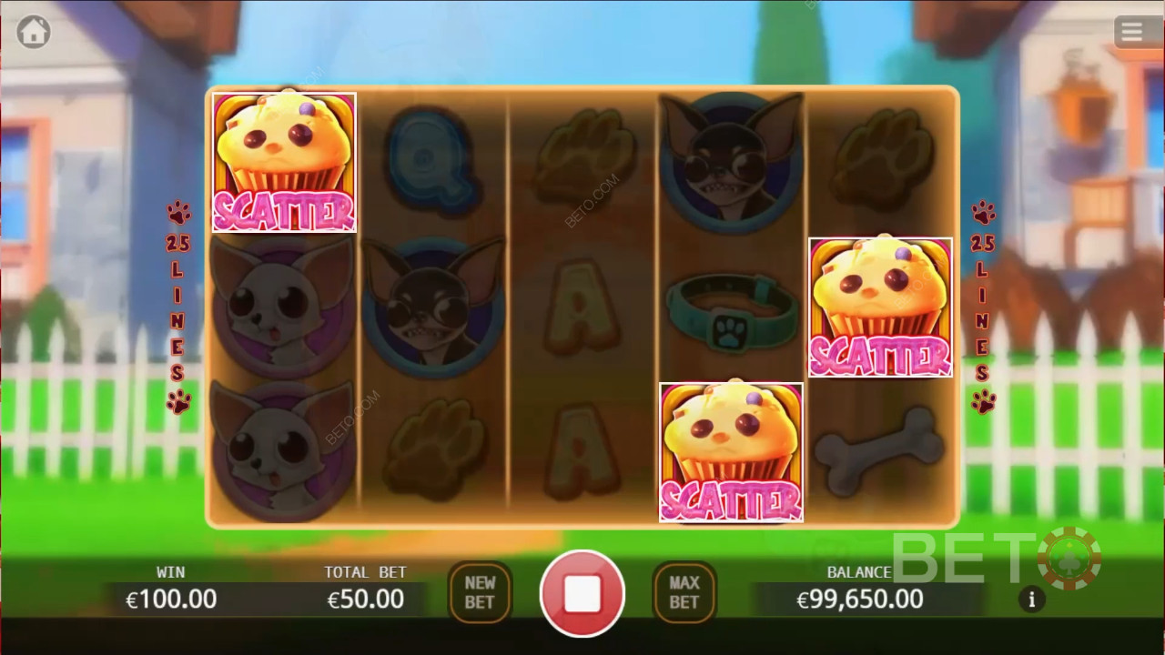 Chihuahua Party Gratis Spelen
