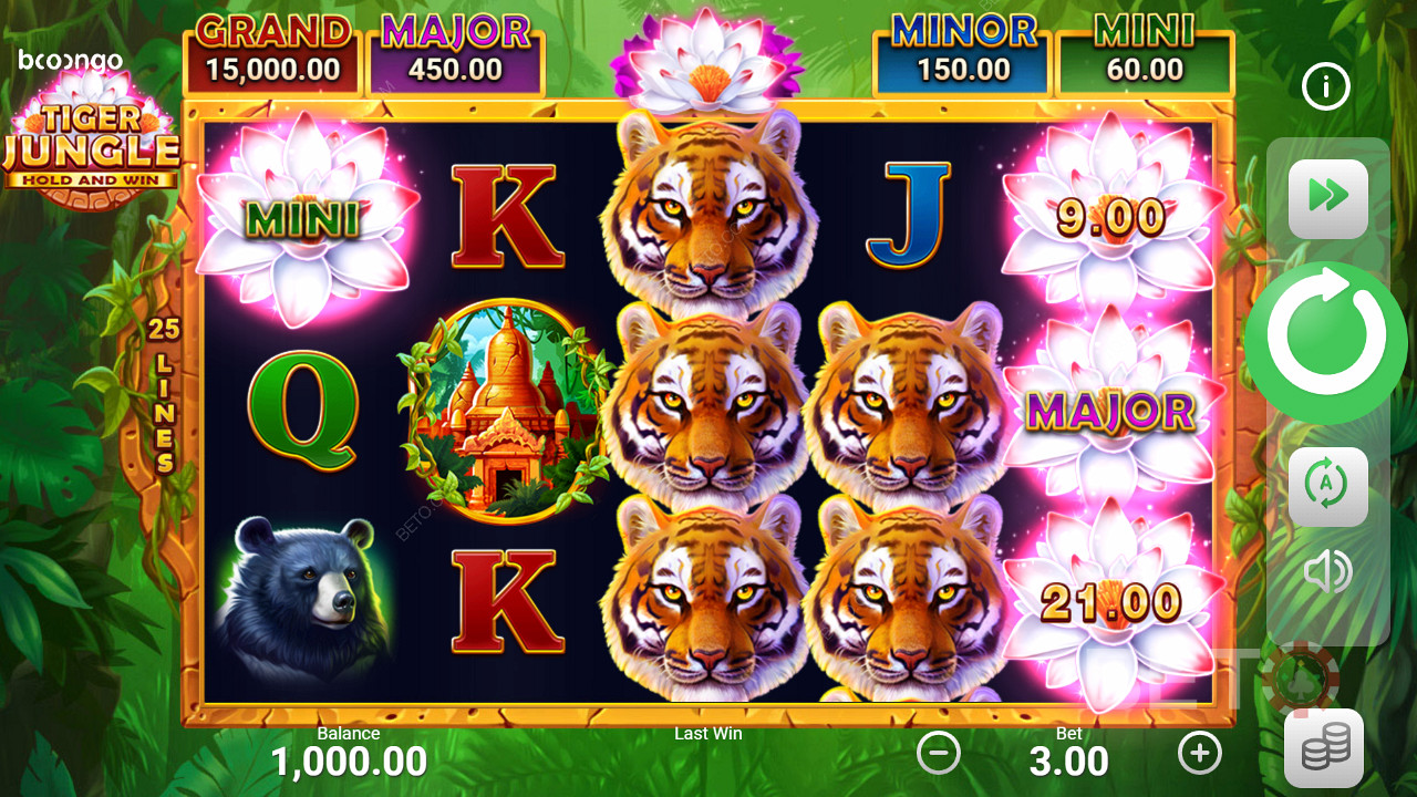 Land jackpots in slots zoals Tiger Jungle Hold and Win