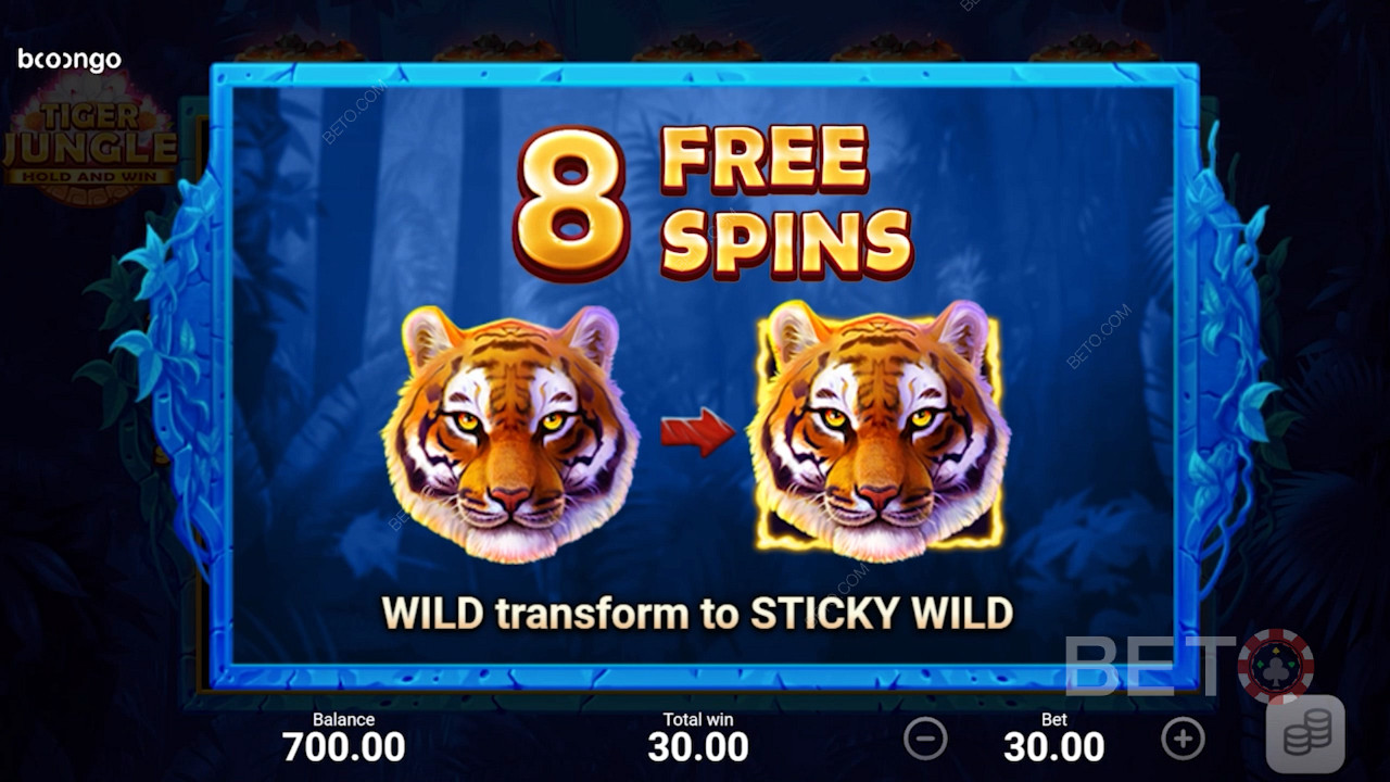 U krijgt 8 Free Spins en alle wilds worden Sticky Wilds tijdens de Free Spins ronde