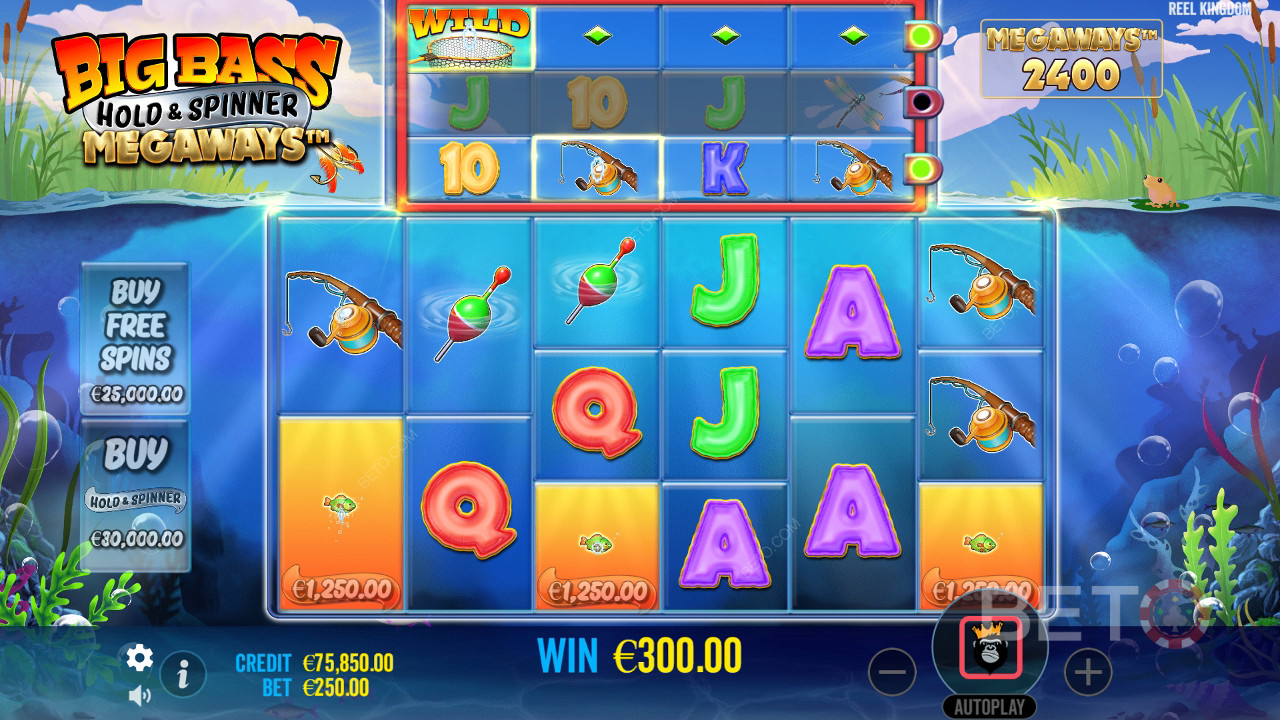 Zo speel je Reel Kingdom