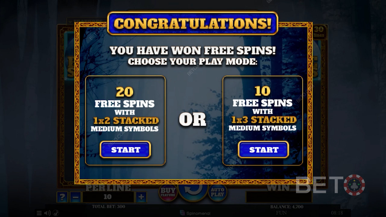 Activeer de Free Spins modus en kies uit 2 soorten Free Spins bonussen