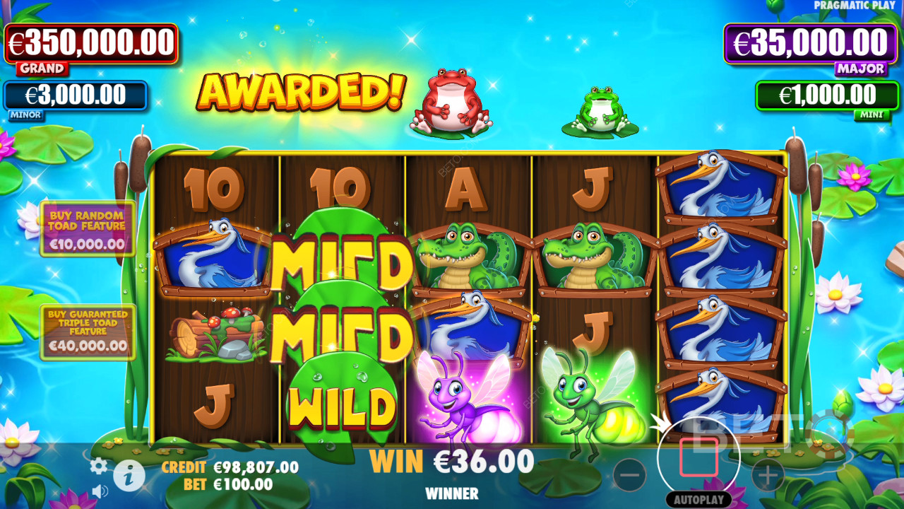 Tiny Toads Review door BETO Slots