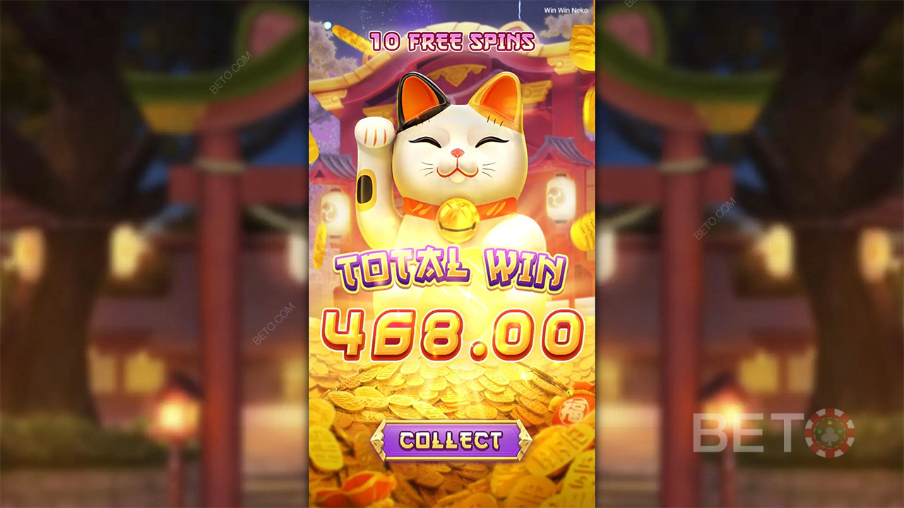 Win Win Neko - Ja of Nee
