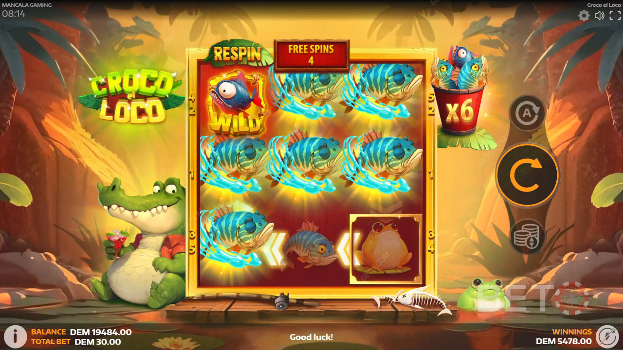 Croco el Loco Gratis Spelen