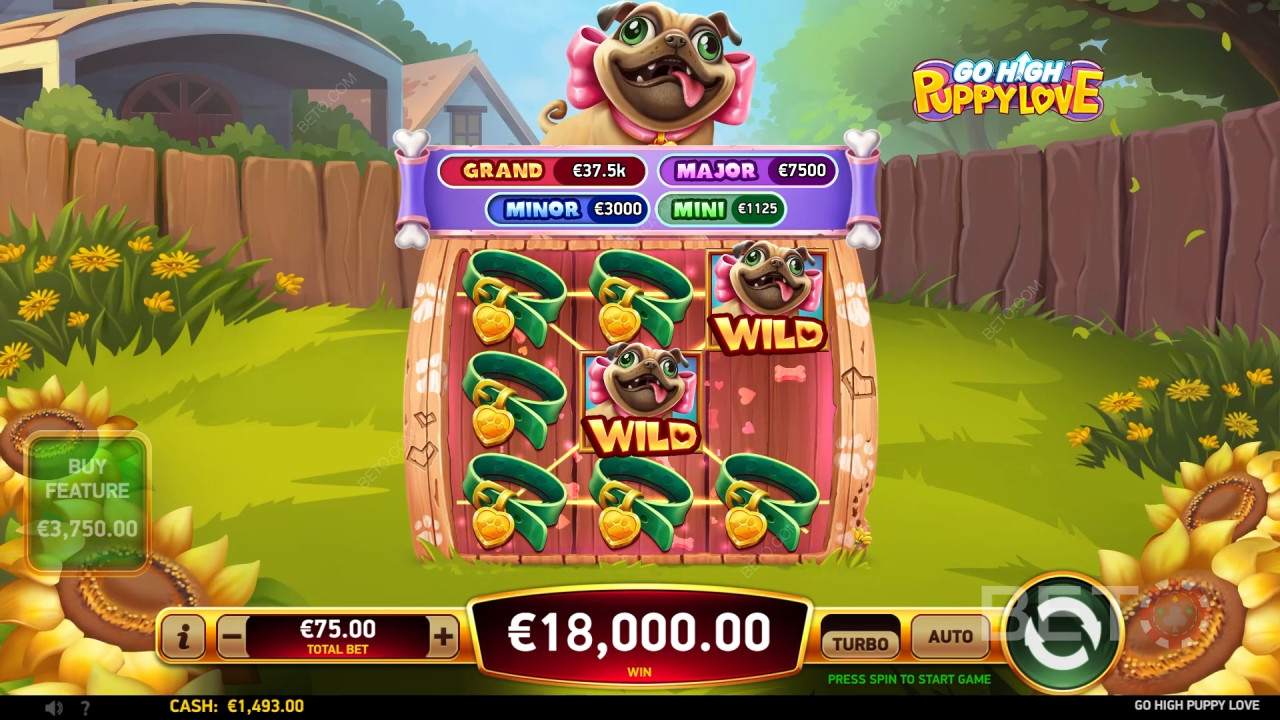 Go High Puppy Love Review door BETO Slots
