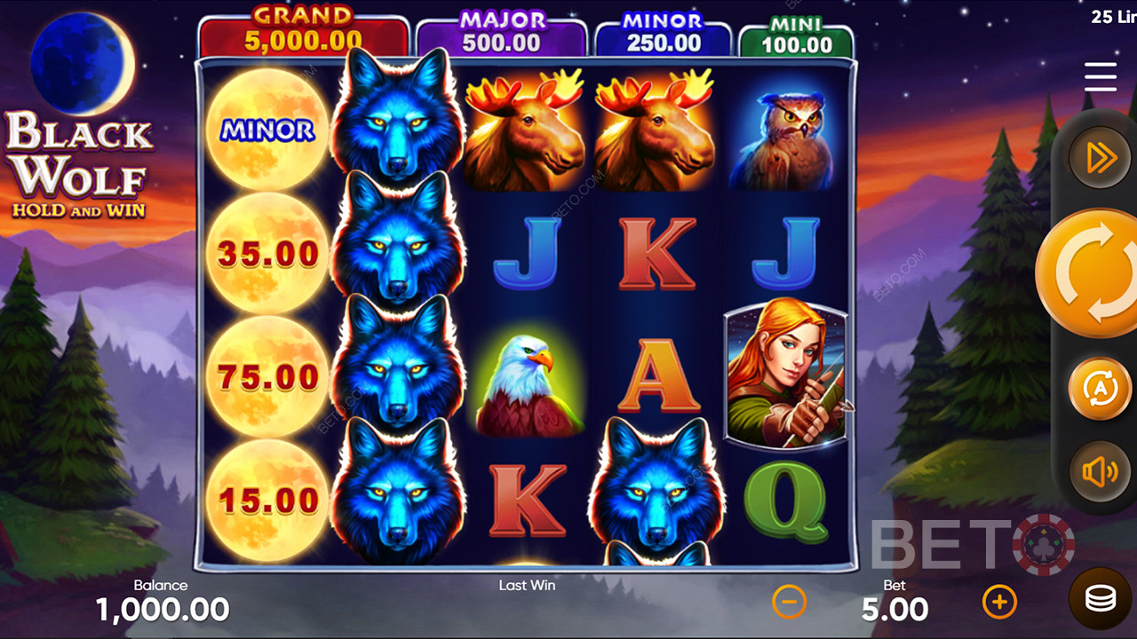 Ga op jacht naar echte geldprijzen in de majestueuze jungles van de Black Wolf Slot Game