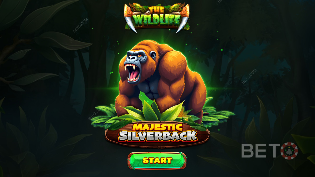 Bonusfuncties uitgelegd in Majestic Silverback door Spinomenal