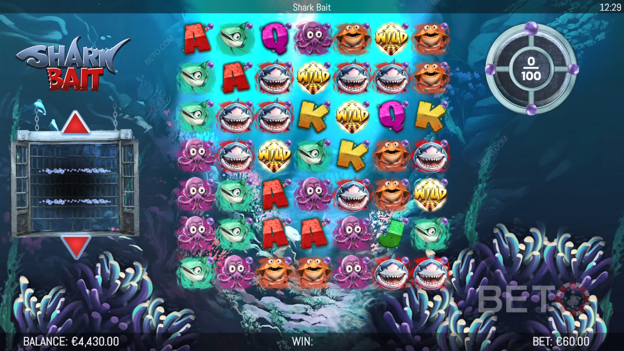 Bonusfuncties uitgelegd in Shark Bait van Hungry Bear