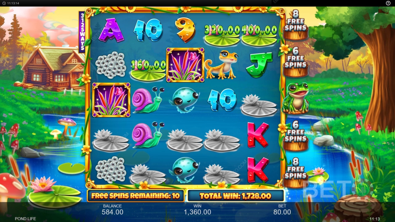 Bonusfuncties uitgelegd in Pond Life door Inspired Gaming