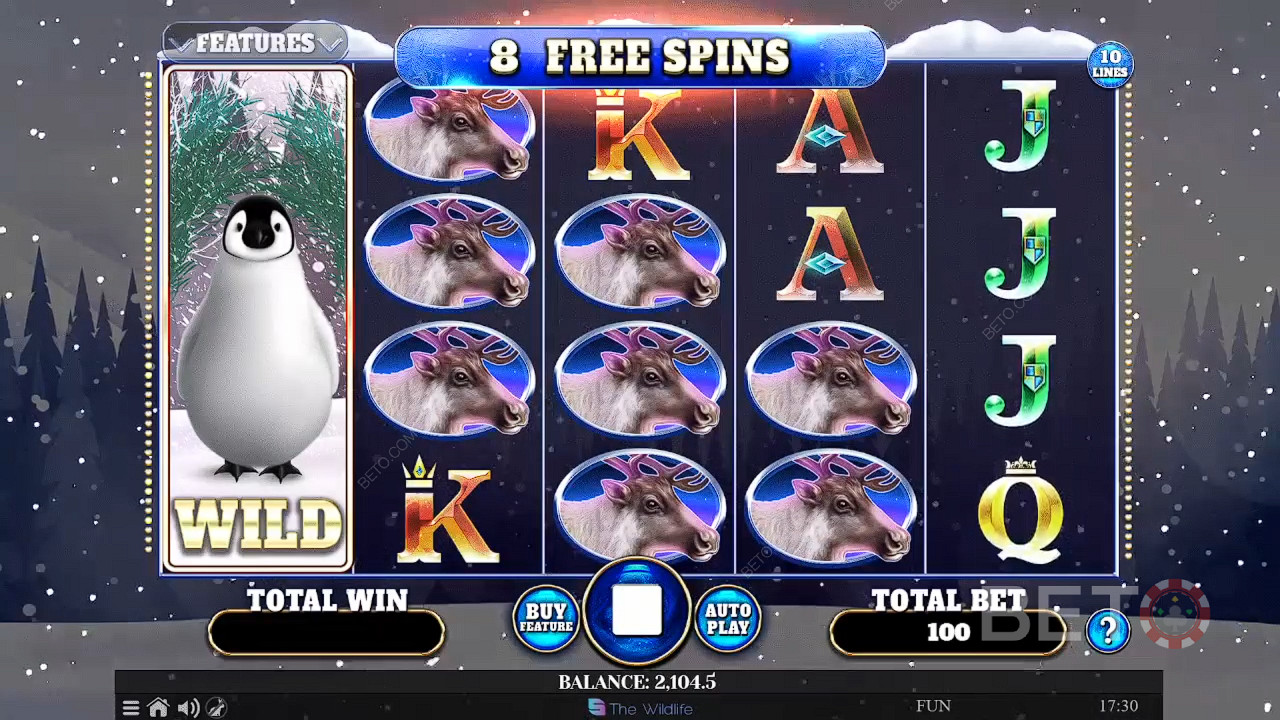 Wild Penguin Gratis Spelen