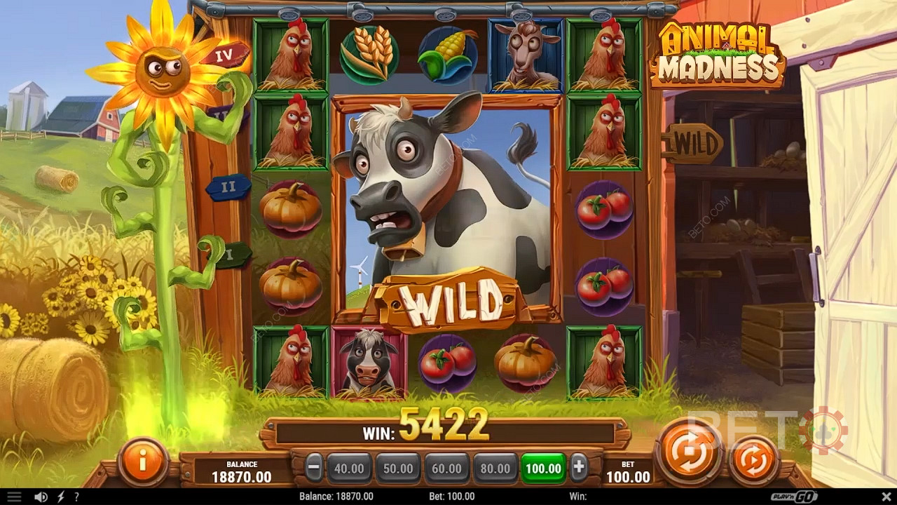 Animal Madness Gratis Spelen